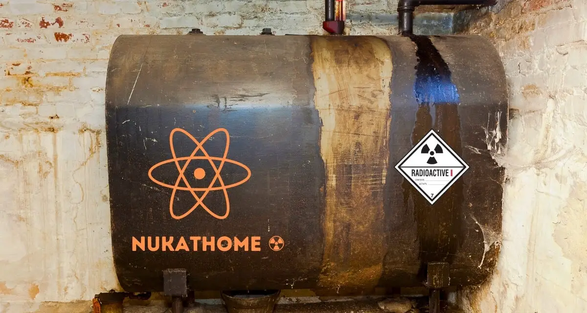 Qu’est-il advenu des réacteurs nucléaires domestiques ?