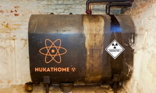 Qu’est-il advenu des réacteurs nucléaires domestiques ?